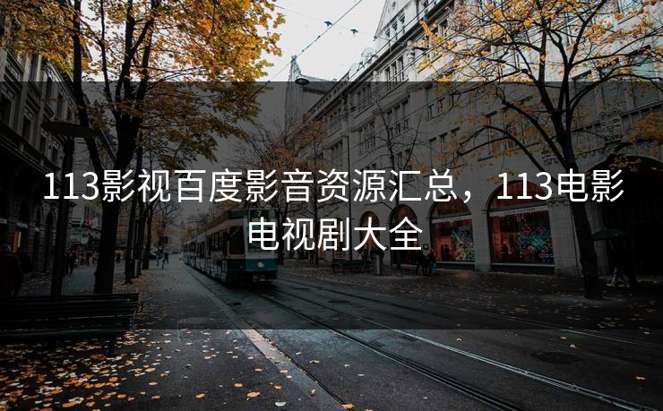 113影视百度影音资源汇总，113电影电视剧大全