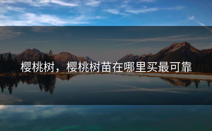 樱桃树，樱桃树苗在哪里买最可靠