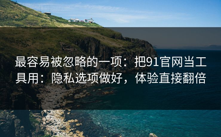 最容易被忽略的一项：把91官网当工具用：隐私选项做好，体验直接翻倍